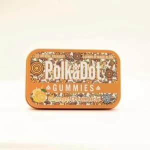 Polkadot Orange Creamsicle -Polkadot Mushroom Chocolate Bar
